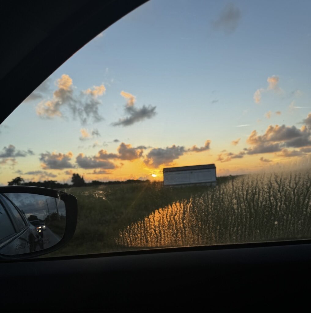 Sunrise picture I took at a red light.